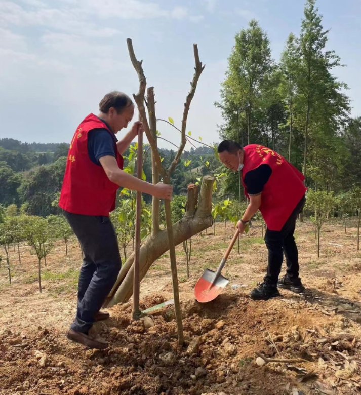 1653035535731806.png 1653035522(1).png