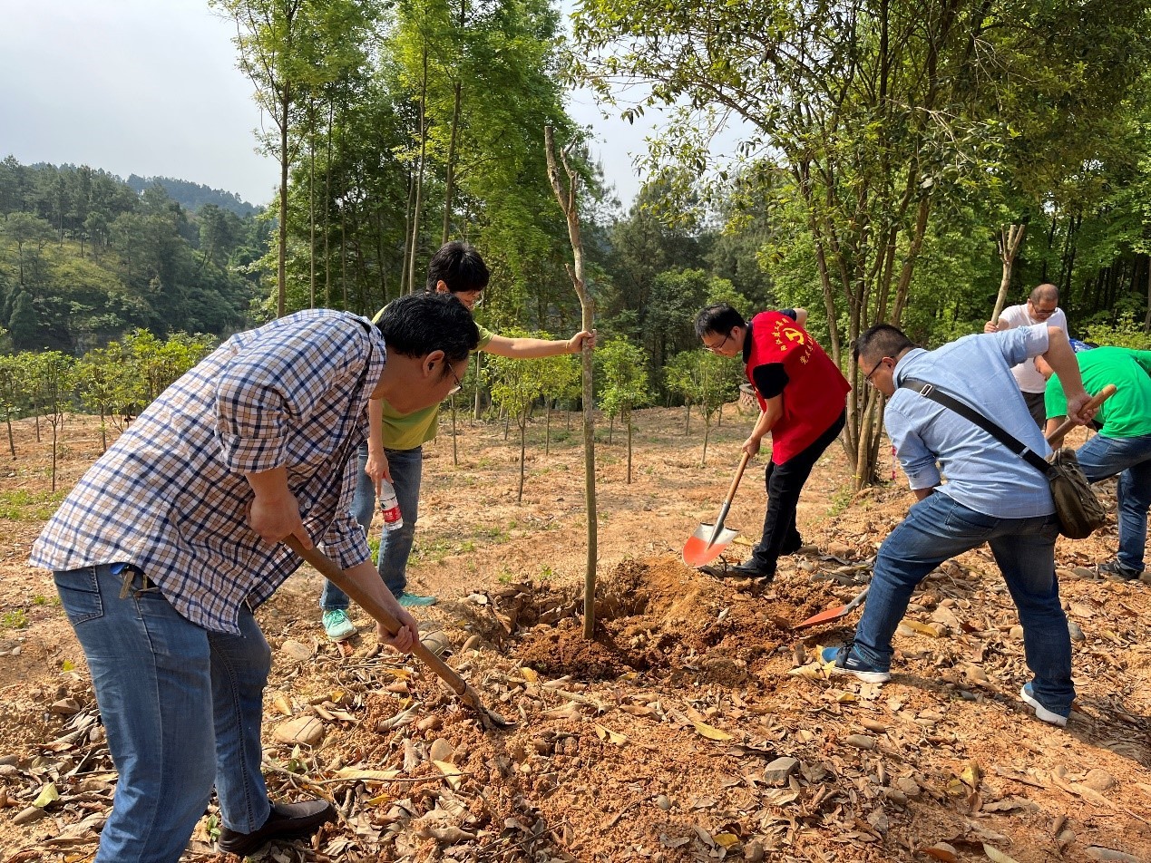 1653035598118372.jpg 5.jpg