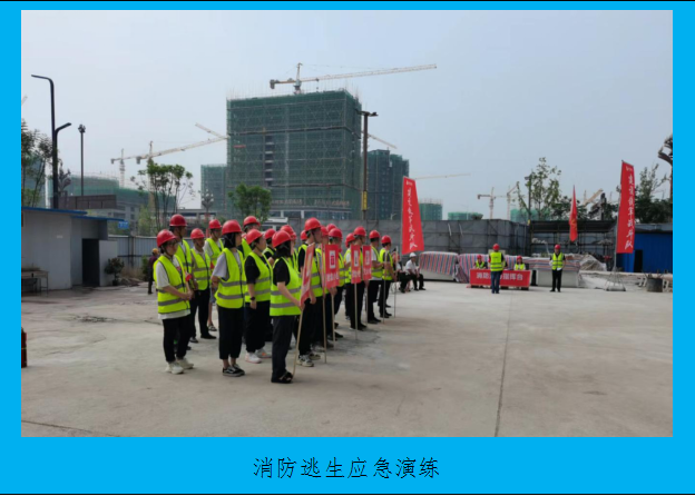 1656554008694792.png 圖片15.png