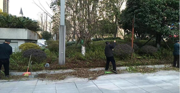 1678152168820397.png image.png