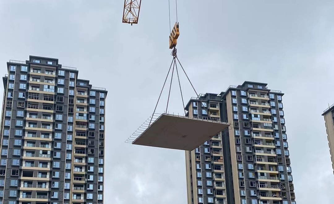 1691474946325769.jpg 1691474946325769.jpg